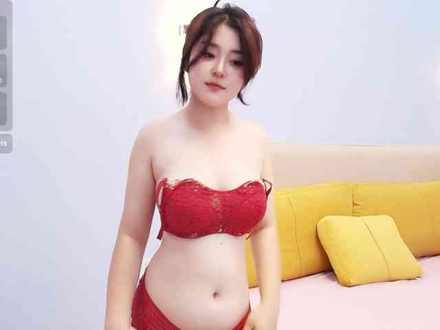 yunlihn webcam