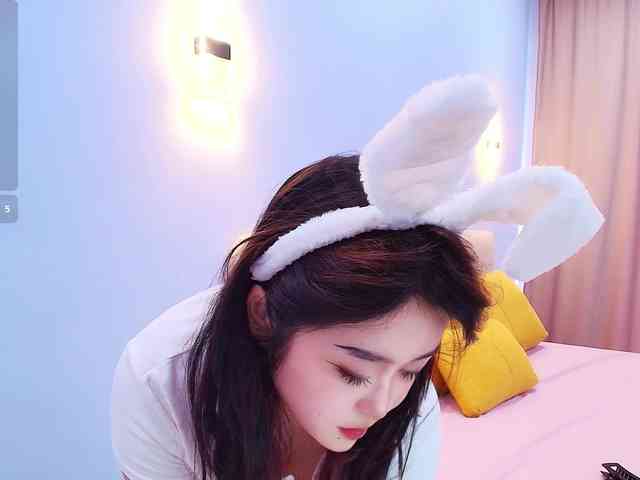 yunlihn webcam