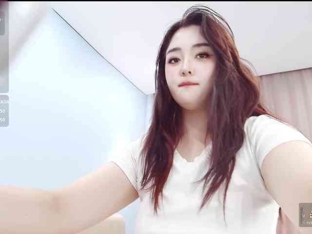 yunlihn webcam