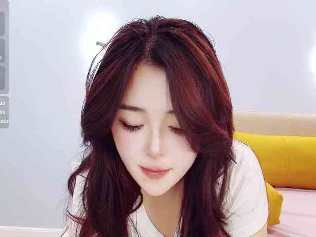 yunlihn webcam