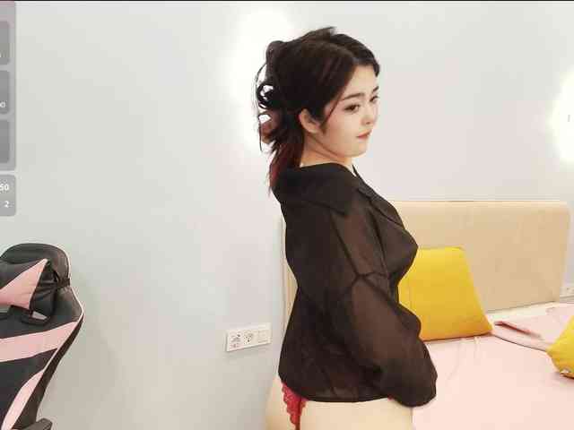 yunlihn webcam
