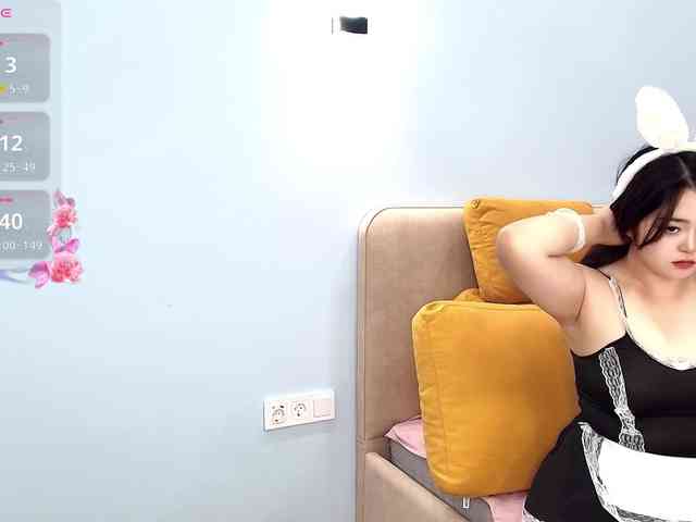 yunlihn webcam
