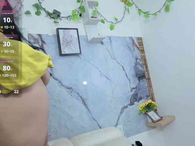 ambeer-rosse webcam
