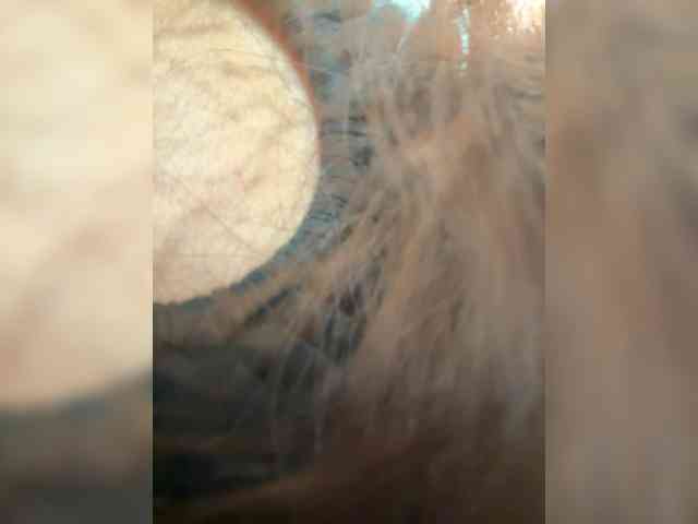 Alexastarr webcam