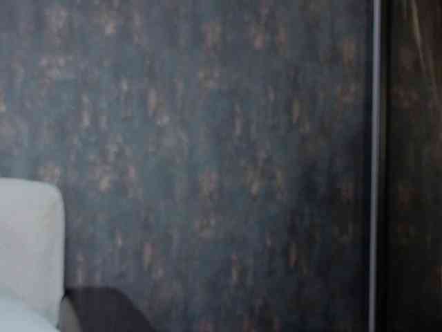 Adelmrr webcam