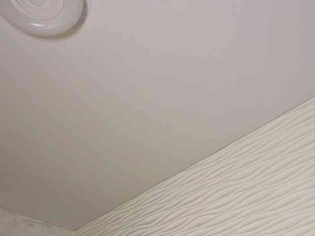 Adelmrr webcam
