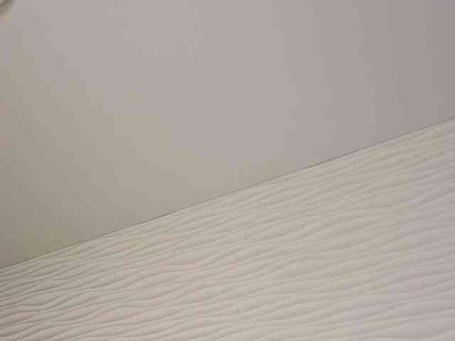 Adelmrr webcam