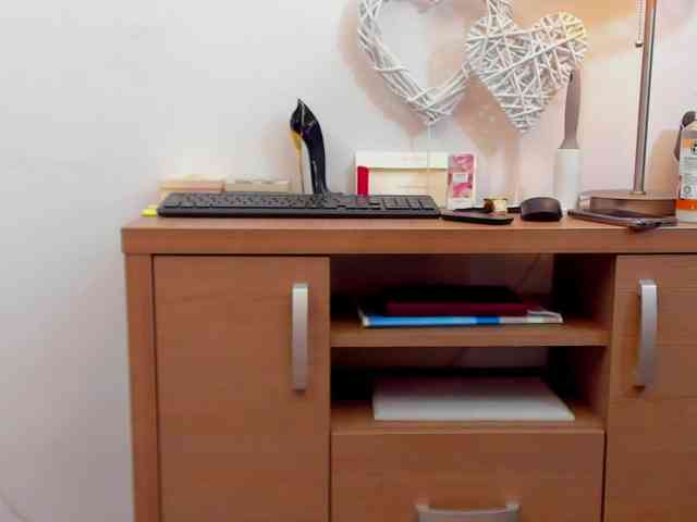 tenny-shy webcam