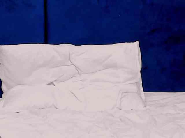 tenny-shy webcam