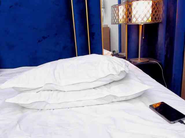 tenny-shy webcam