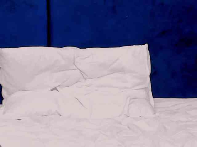 tenny-shy webcam