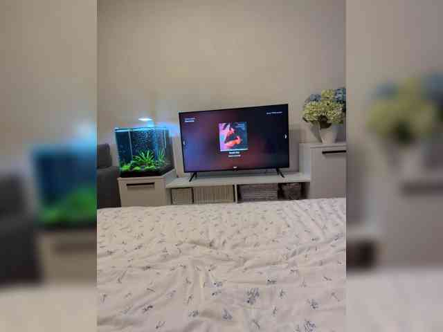 FoxSibiri webcam
