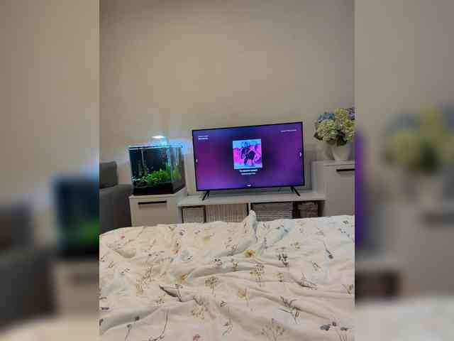 FoxSibiri webcam
