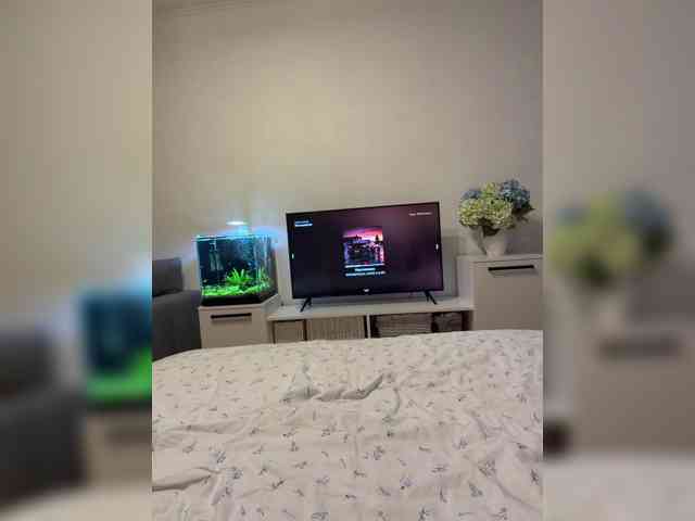 FoxSibiri webcam