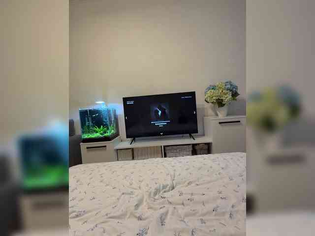 FoxSibiri webcam
