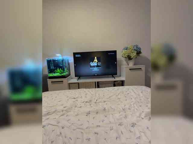 FoxSibiri webcam