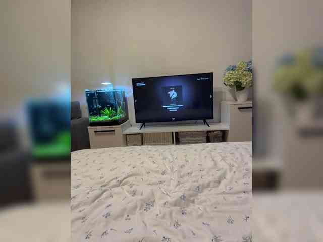 FoxSibiri webcam