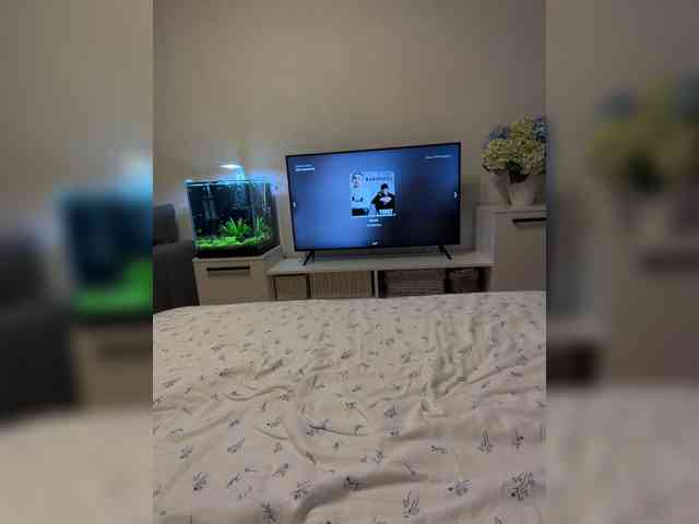 FoxSibiri webcam
