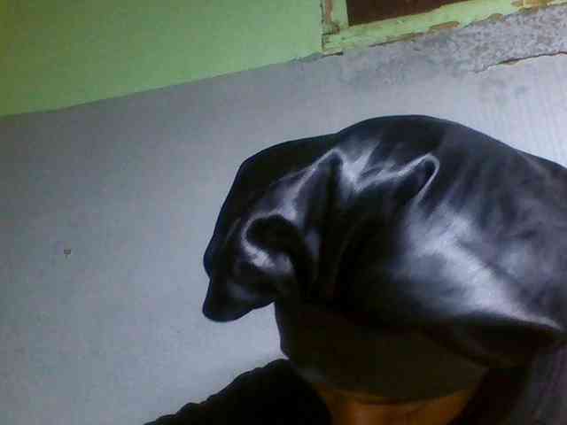 Joela1 webcam