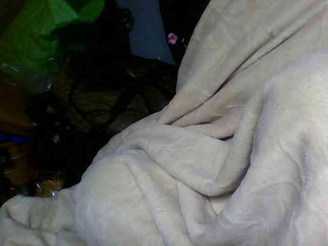 Joela1 webcam