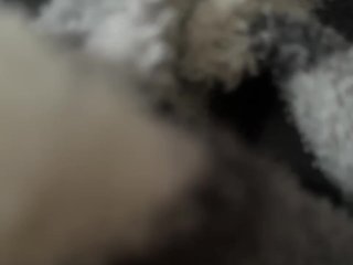 KissaMenn