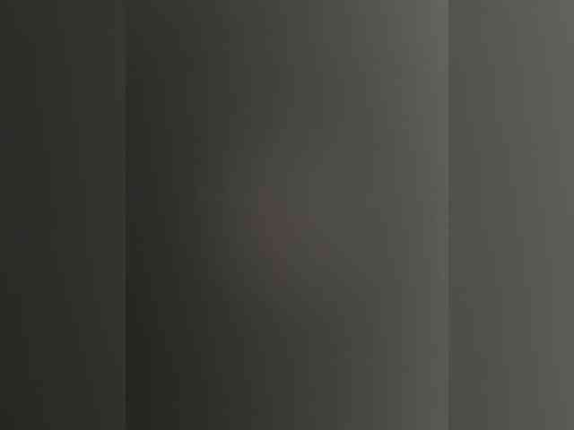 KissaMenn webcam
