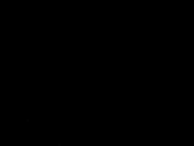 KissaMenn