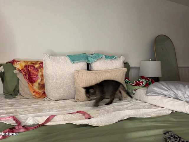 Mysteriousmadam live cam preview