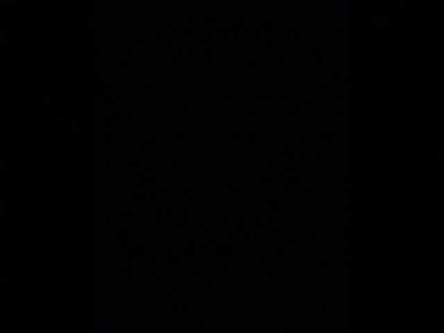 sashanton