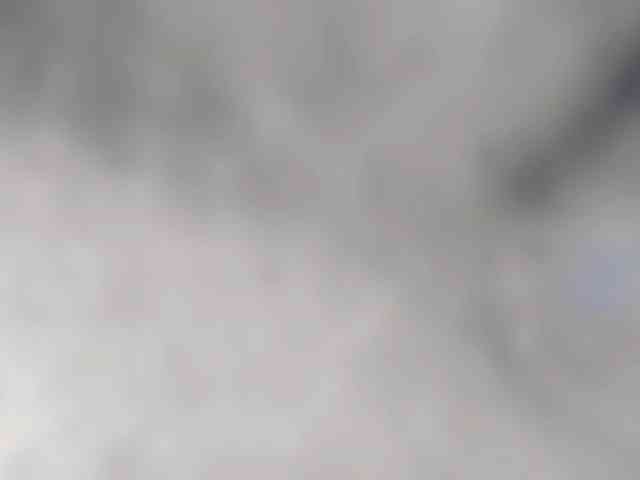 maddison-ivannova webcam