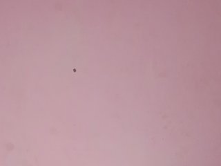 Leasexy1's Live Webcam