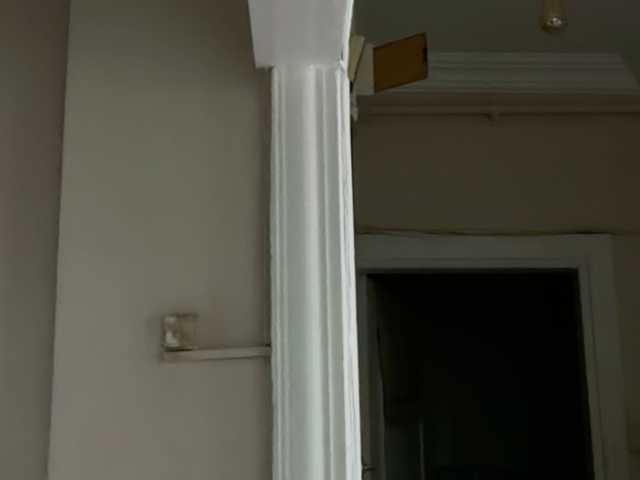 ANDREX1X