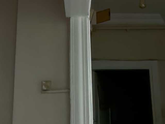 ANDREX1X