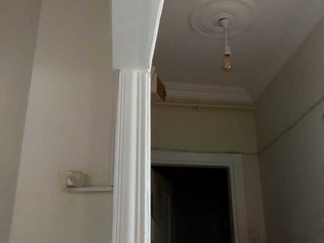 ANDREX1X