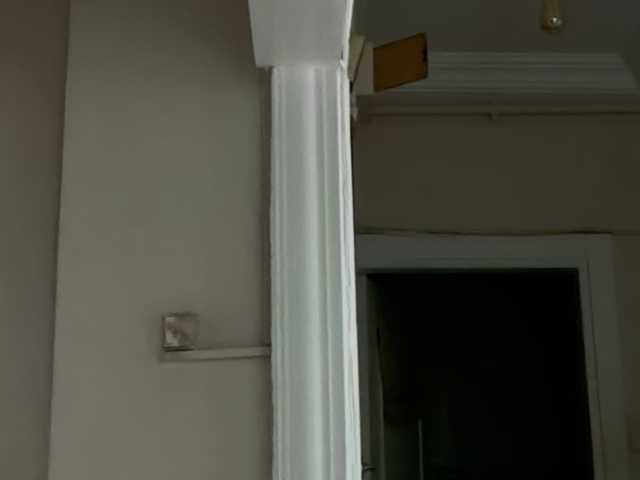 ANDREX1X
