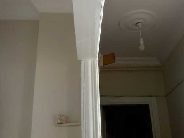 ANDREX1X