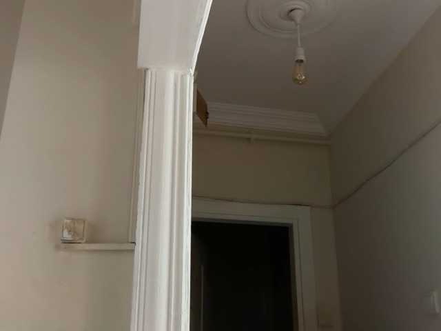 ANDREX1X
