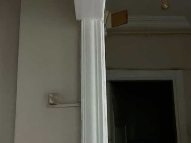 ANDREX1X