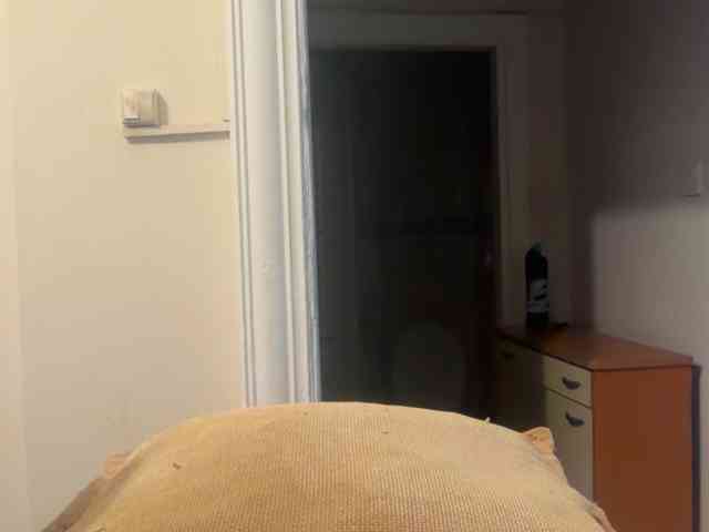 ANDREX1X
