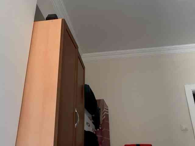 ANDREX1X