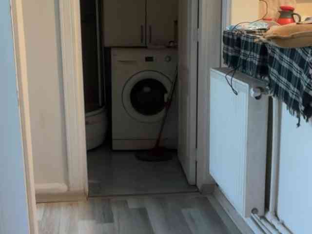 ANDREX1X