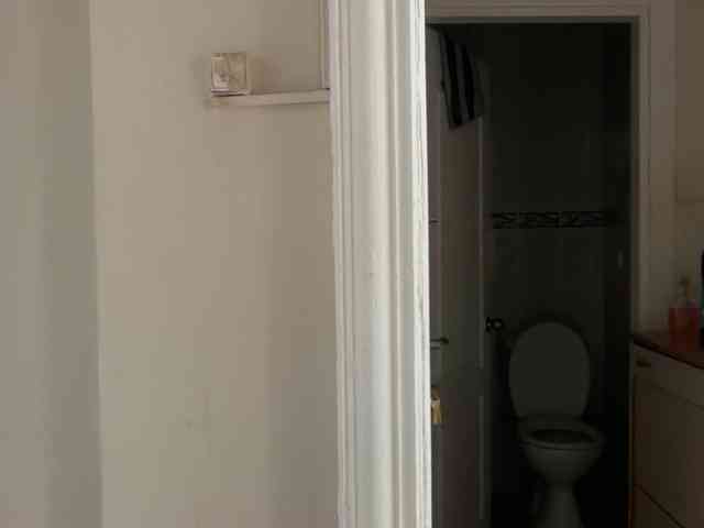 ANDREX1X