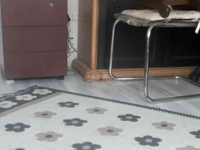 ANDREX1X