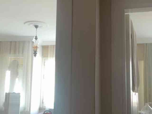 ANDREX1X