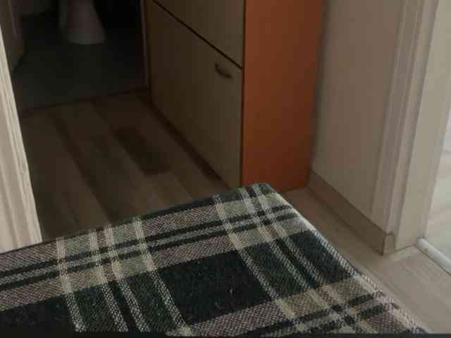 ANDREX1X