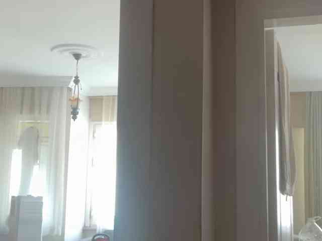 ANDREX1X