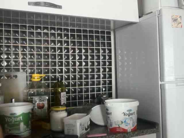 ANDREX1X