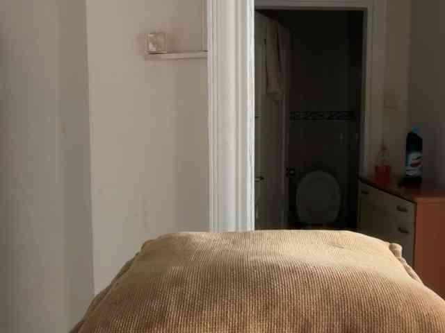 ANDREX1X