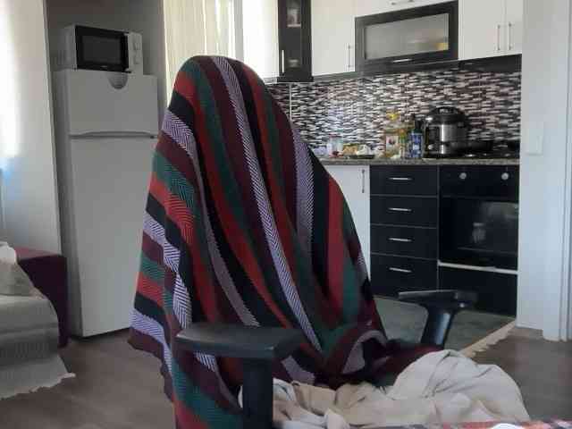 ANDREX1X