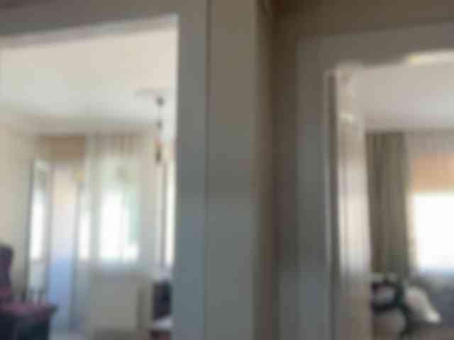 ANDREX1X